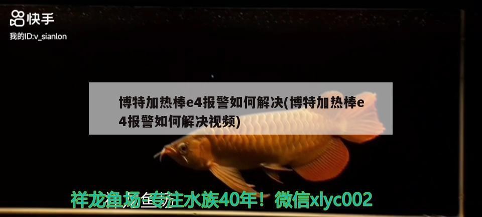 博特加熱棒e4報警如何解決(博特加熱棒e4報警如何解決視頻)