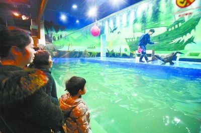 婁底水族館vs祥龍魚場（婁底水族館與祥龍魚場各有其特色和專業(yè)領(lǐng)域）