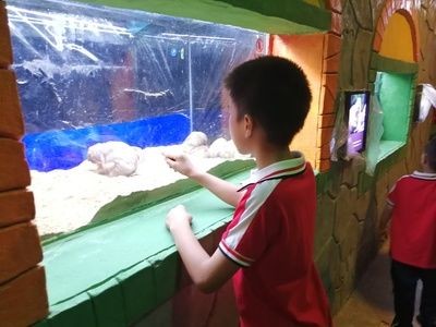 婁底水族館vs祥龍魚場（婁底水族館與祥龍魚場各有其特色和專業(yè)領(lǐng)域）