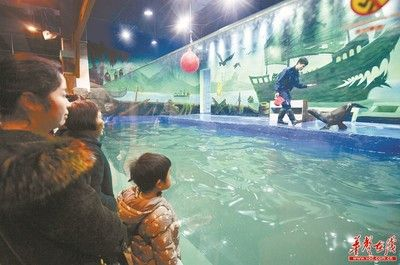 婁底水族館vs祥龍魚場（婁底水族館與祥龍魚場各有其特色和專業(yè)領(lǐng)域）
