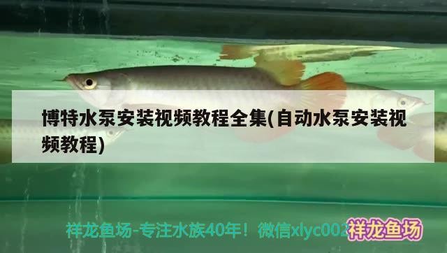 博特水泵安裝視頻教程全集(自動(dòng)水泵安裝視頻教程)