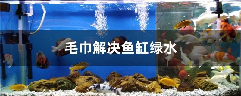 二手金魚缸那有賣的嗎(金魚缸什么意思) 馬來西亞咖啡 第2張 二手金魚缸那有賣的嗎(金魚缸什么意思) 二手金魚缸那有賣的嗎(金魚缸什么意思) 馬來西亞咖啡 第2張