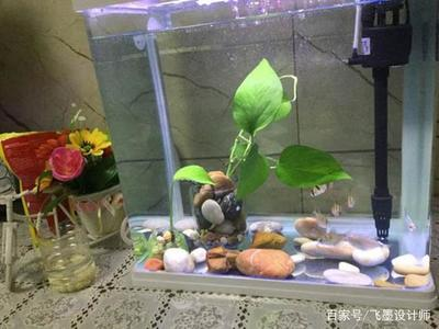 創(chuàng)寧水泵聲音（創(chuàng)寧水泵聲音大怎么解決）