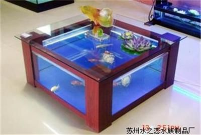 便宜的異型魚(yú)缸多少錢：如何選擇一個(gè)便宜的異型魚(yú)缸