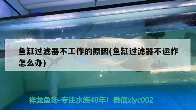 博特水泵怎么設置壓力（博特水泵怎么設置壓力高低）