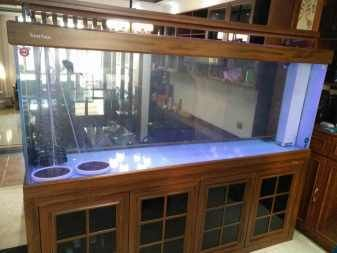 1.5米魚缸怎么搬運上樓：1.5米的魚缸怎么搬運上樓 1.5米魚缸怎么搬運上樓：1.5米的魚缸怎么搬運上樓 魚缸百科 第3張