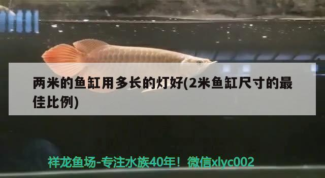 兩米的魚缸用多長的燈好(2米魚缸尺寸的最佳比例)