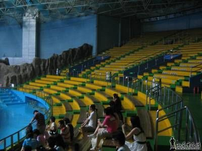 汕尾水族館vs祥龍魚場（汕尾水族館與祥龍魚場的區別）