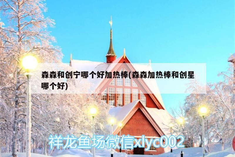 森森和創(chuàng)寧哪個(gè)好加熱棒(森森加熱棒和創(chuàng)星哪個(gè)好)
