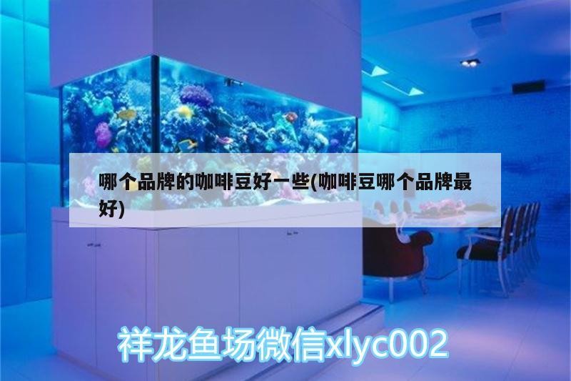 哪個品牌的咖啡豆好一些(咖啡豆哪個品牌最好)