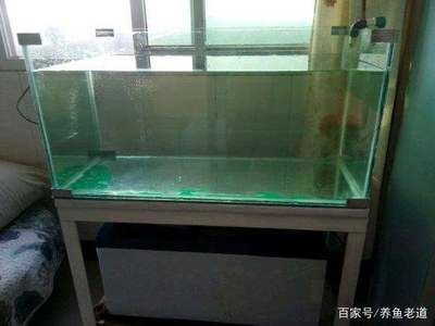 玻璃魚(yú)缸制作視頻教學(xué)：關(guān)于玻璃魚(yú)缸制作的幾個(gè)重要步驟和注意事項(xiàng)：玻璃魚(yú)缸
