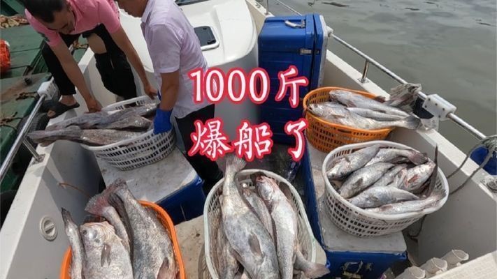 魟魚飽腹后多久排便：如何判斷魟魚飽腹后多久排便