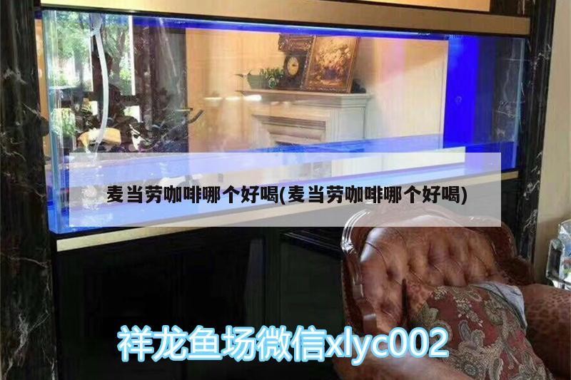 麥當勞咖啡哪個好喝(麥當勞咖啡哪個好喝)