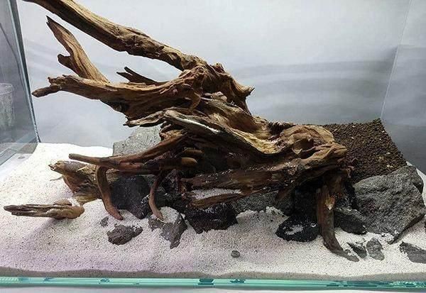 沉木放在魚缸里水發(fā)黃怎么辦：如何解決魚缸水發(fā)黃的問題？