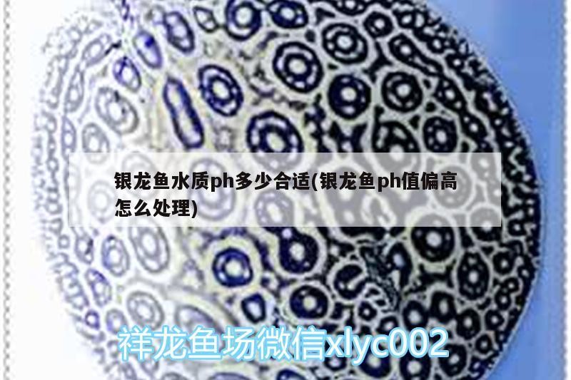 銀龍魚水質ph多少合適(銀龍魚ph值偏高怎么處理)