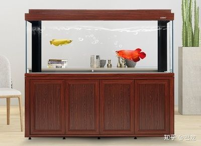 大魚(yú)缸怎么改小魚(yú)缸：如何將大魚(yú)缸改造為小魚(yú)缸