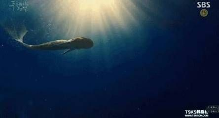 梧州水族館vs祥龍魚場（梧州水族館和祥龍魚場各有其特色和優勢）