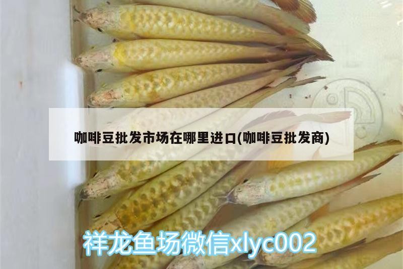 咖啡豆批發市場在哪里進口(咖啡豆批發商) 咖啡豆批發市場在哪里進口(咖啡豆批發商) 馬來西亞咖啡