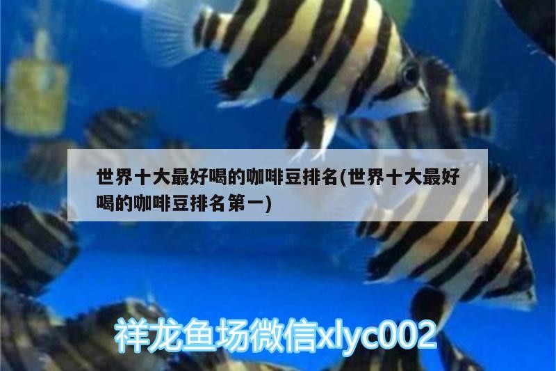 世界十大最好喝的咖啡豆排名(世界十大最好喝的咖啡豆排名第一)