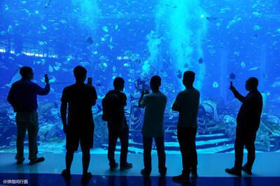 來賓水族館vs祥龍魚場（來賓水族館與祥龍魚場的區別）
