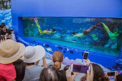 來賓水族館vs祥龍魚場（來賓水族館與祥龍魚場的區別）