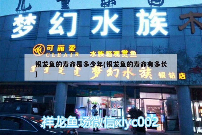 銀龍魚的壽命是多少年(銀龍魚的壽命有多長(zhǎng))