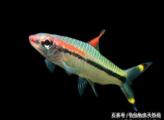 博特水泵E02什么意思（博特水泵e02什么意思啊）