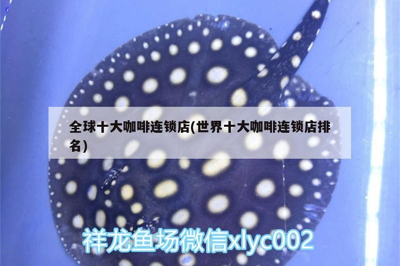 全球十大咖啡連鎖店(世界十大咖啡連鎖店排名)