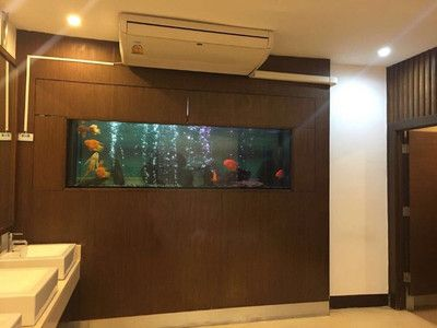 如何選擇紅龍魚背景墻材質(zhì)?:紅龍魚生長(zhǎng)階段與背景墻材質(zhì) 紅龍魚百科 第6張 如何選擇紅龍魚背景墻材質(zhì)?:紅龍魚生長(zhǎng)階段與背景墻材質(zhì) 如何選擇紅龍魚背景墻材質(zhì)?:紅龍魚生長(zhǎng)階段與背景墻材質(zhì) 紅龍魚百科 第6張