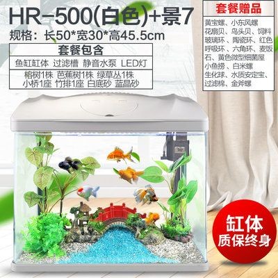 800長350寬500高的魚缸用什么過濾：魚缸過濾器怎么選？