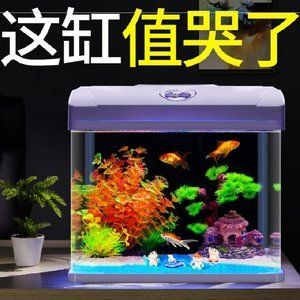 創魔魚缸裝飾品：《創造與魔法》中獲取魚缸裝飾品的幾種方法