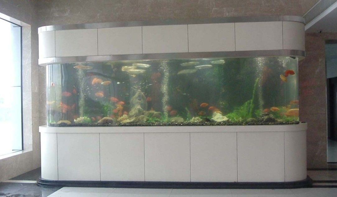 玻璃魚(yú)缸裂開(kāi)了怎么修補(bǔ)視頻：修補(bǔ)玻璃魚(yú)缸的基本步驟