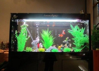 senagr魚缸官方網(wǎng)站魚缸專賣店官網(wǎng)senagr魚缸官方網(wǎng)站：senagr魚缸專賣店官方網(wǎng)站搜索結(jié)果中并未提供