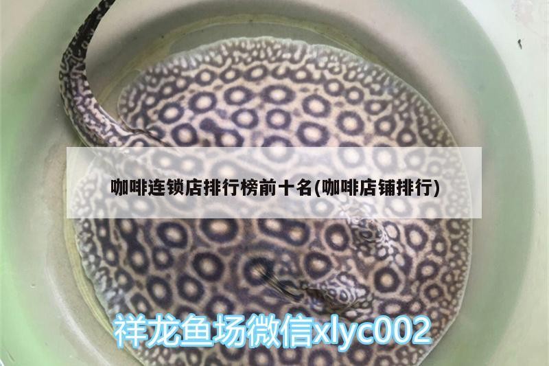 咖啡連鎖店排行榜前十名(咖啡店鋪排行) 咖啡連鎖店排行榜前十名(咖啡店鋪排行) 馬來西亞咖啡