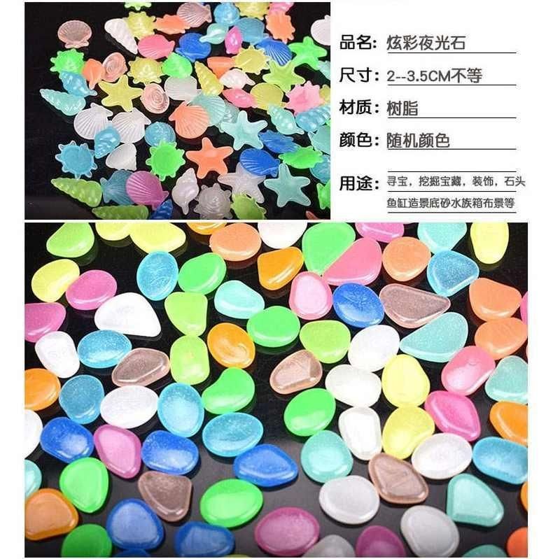 紅龍魚和什么魚一起養比較好：關于紅龍魚混養的建議