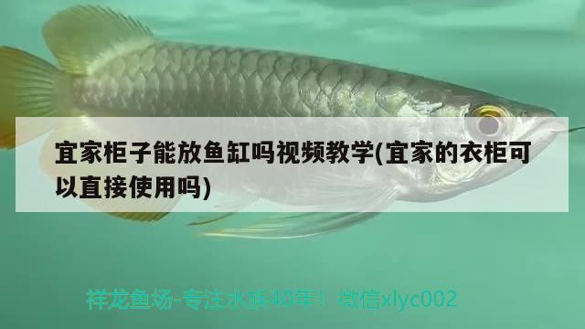 宜家柜子能放魚缸嗎視頻教學(宜家的衣柜可以直接使用嗎)