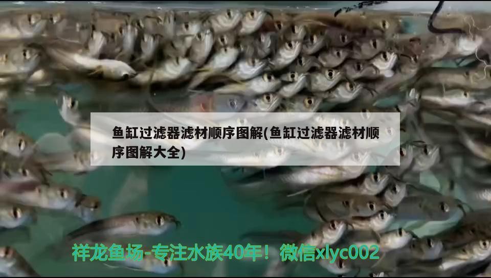 魚(yú)缸過(guò)濾器濾材順序圖解(魚(yú)缸過(guò)濾器濾材順序圖解大全)