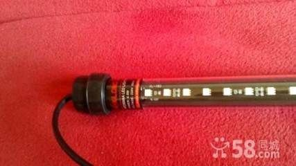 紅龍魚(yú)發(fā)色燈光用什么牌子的：紅龍魚(yú)專用燈光顯色指數(shù)標(biāo)準(zhǔn)
