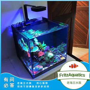 60公分魚缸能養(yǎng)多大的鯉魚視頻：60公分的魚缸適合養(yǎng)幾條錦鯉