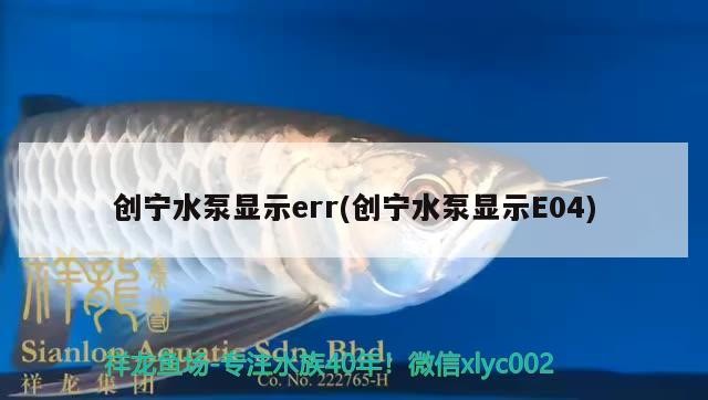 創寧水泵顯示err(創寧水泵顯示E04)