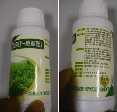 魟魚細菌性腸炎用滅菌靈：滅菌靈能治療魟魚的細菌性腸炎嗎