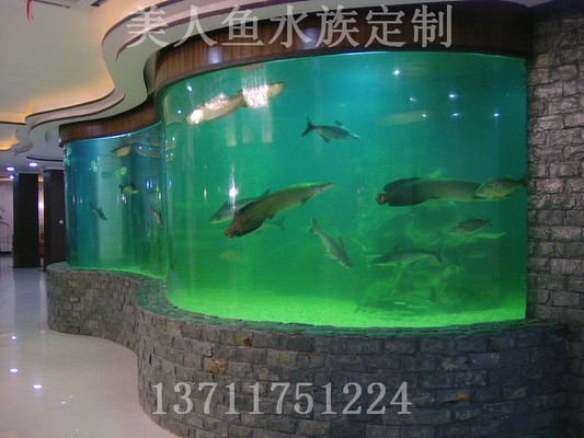 大連高新園區千島水族商店（大連高新園區千島水族商店地址）