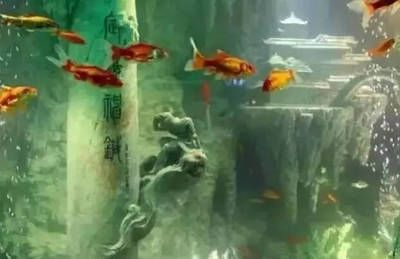 動畫片魚缸里兩條魚的故事：寵物與主人的情感紐帶