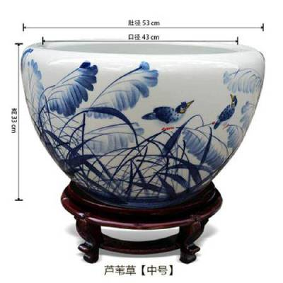 深圳市博特水族用品有限公司（深圳市博特水族用品有限公司怎么樣）