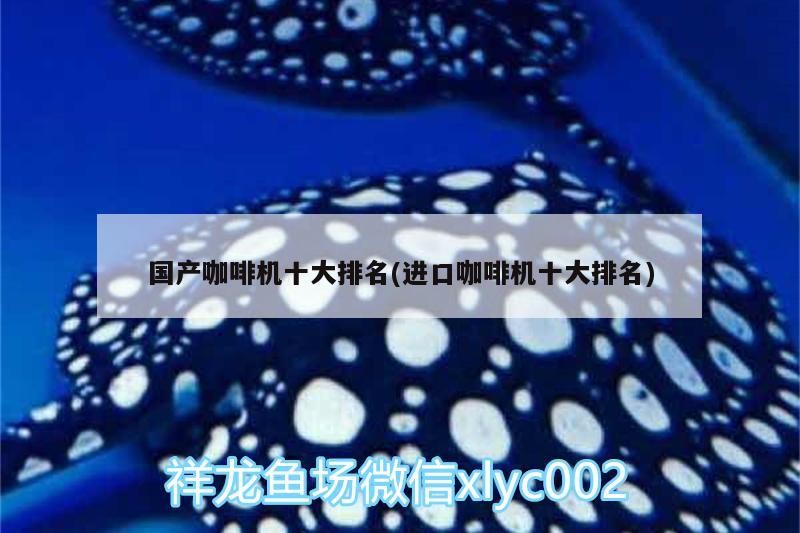 國產(chǎn)咖啡機十大排名(進口咖啡機十大排名)