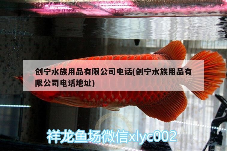 創寧水族用品有限公司電話(創寧水族用品有限公司電話地址)
