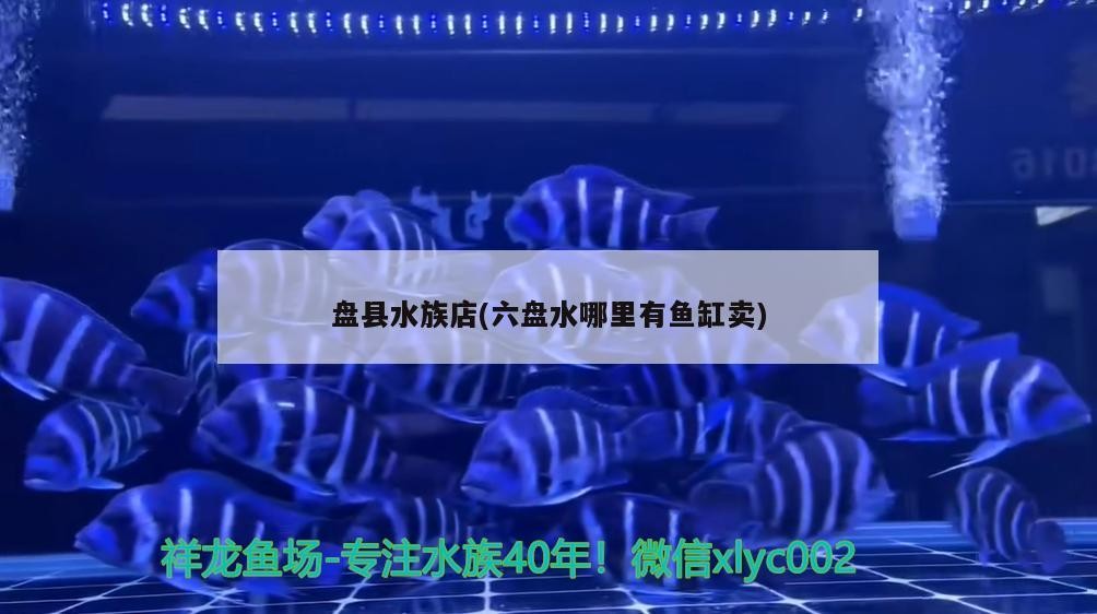 詳細(xì)閱讀:盤(pán)縣水族店(六盤(pán)水哪里有魚(yú)缸賣(mài)) 盤(pán)縣水族店(六盤(pán)水哪里有魚(yú)缸賣(mài))