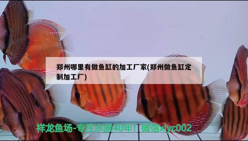 魚缸凈水劑怎么樣使用(魚缸水質凈化劑如何使用)