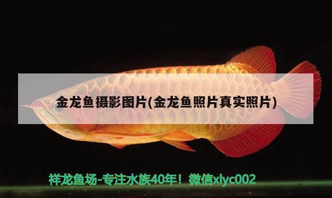 菏澤水族館平淡是福