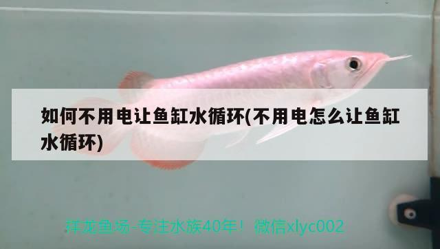 如何不用電讓魚缸水循環(不用電怎么讓魚缸水循環)